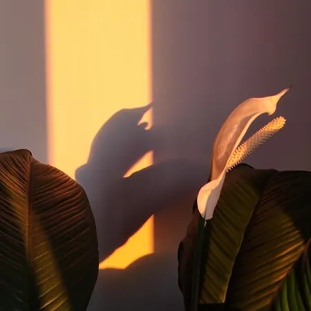 Mareluce ベッド・アンド・ブレックファスト トッレ・デル・グレコ