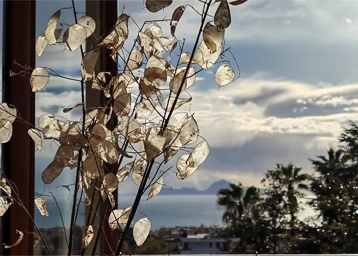 Bed & Breakfast Mareluce