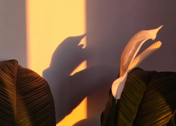 Mareluce Bed & Breakfast Torre del Greco